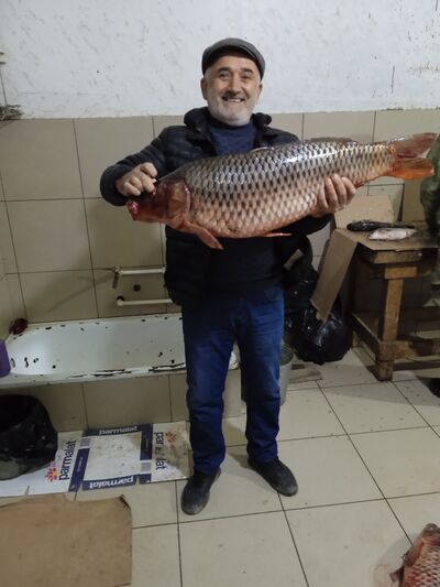  ,   , 51 ,   ,   