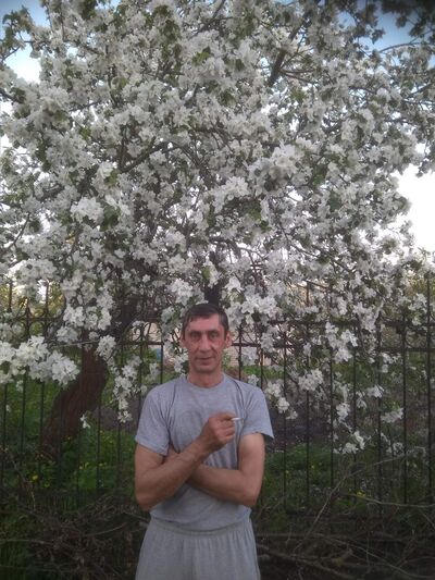  ,   , 50 ,     