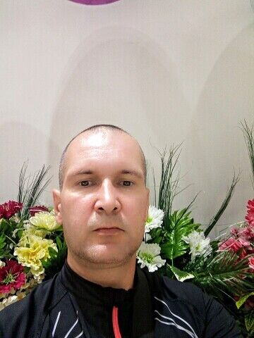  36765242  , 40 ,    --