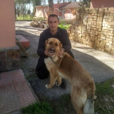  ,   Slavik, 39 ,   ,   , c 
