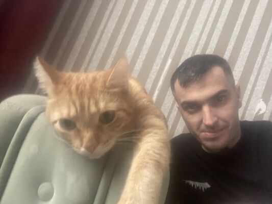  ,   , 41 ,   