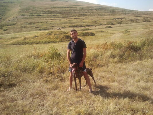  ,   Hovo93245622, 33 ,     , c 