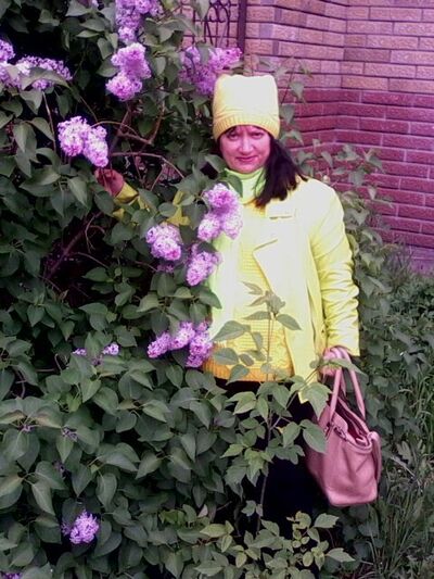   ,   , 66 ,   ,   