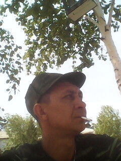  -,   , 48 ,   