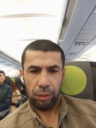 ,   , 41 ,   ,   
