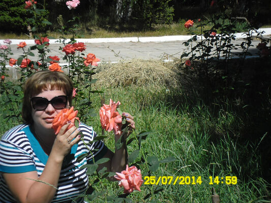 ,   , 46 ,   ,   , c 