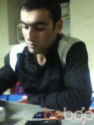  3167262  Arman, 37 ,    