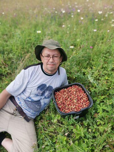  ,   , 61 ,   ,   