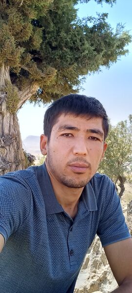  ,    , 33 ,   ,   