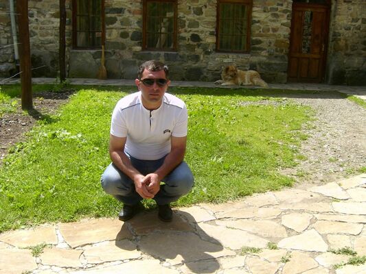  ,   Geko, 45 ,   