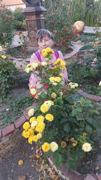  ,   , 70 ,   ,   
