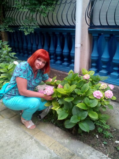  ,   , 54 ,  