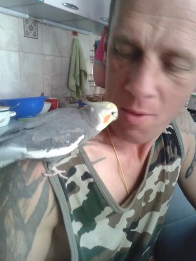  ,   , 49 ,   ,   