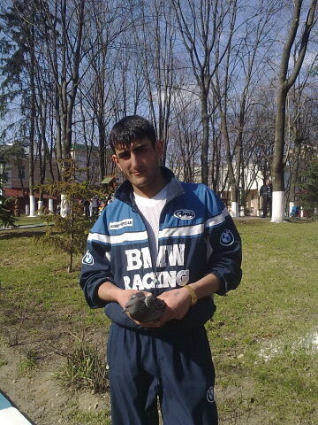 ,   ARMAN, 35 ,   ,   , c 