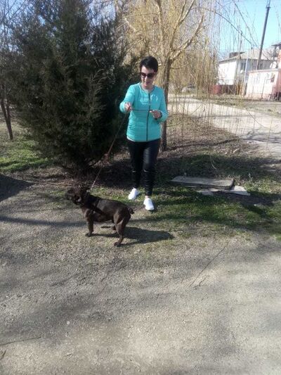  -,   , 54 ,   ,   , c 