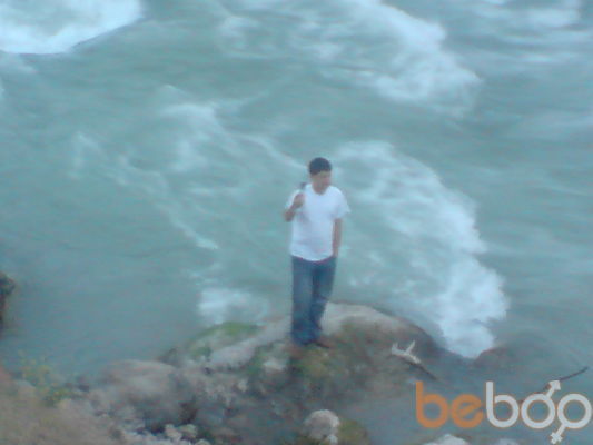  ,   Tolik, 80 ,   ,   , c , 