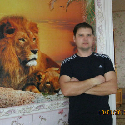   ,   , 51 ,   c 