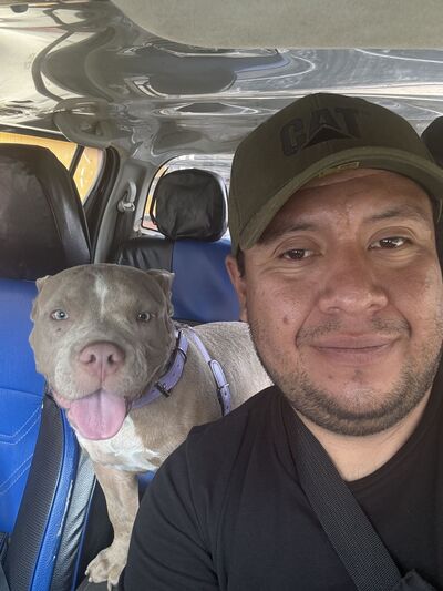  ,   Gustavo, 35 ,   ,   , c , 