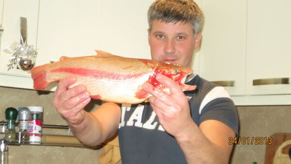  ,   Sebastian, 50 ,   ,   , c 