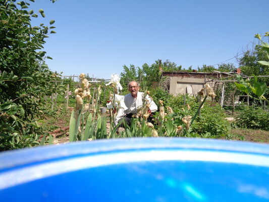  ,   , 78 ,   ,   , c 