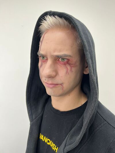  ,   Vladislav, 26 ,   ,   , c 