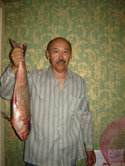 ,   , 59 ,   ,   , c 
