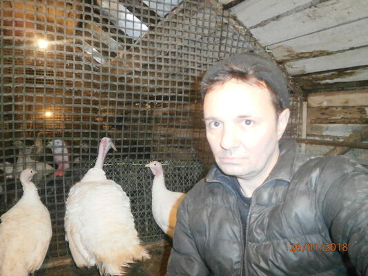  ,   , 51 ,   ,   , c 