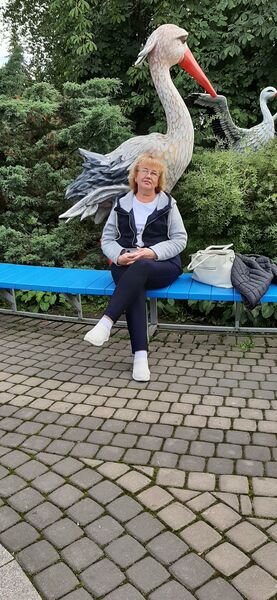  -,   , 60 ,   c 