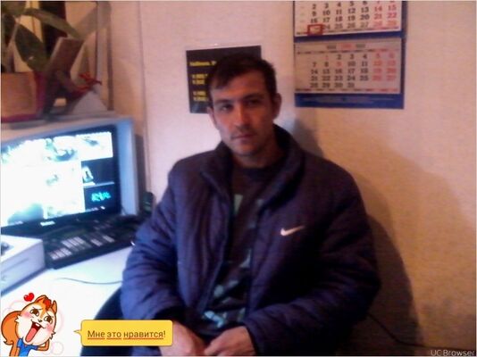  ,   Rustik, 41 ,   
