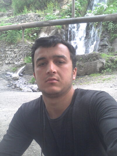 ,   Daler, 31 ,   ,   , c 