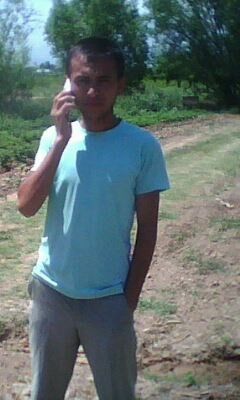  5326902  93 4053388, 37 ,    