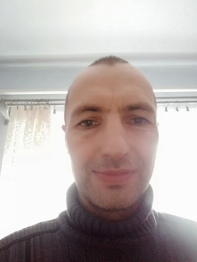  ,    , 83 ,  