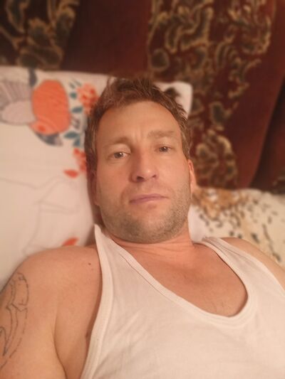  -,   , 43 ,   ,   , 