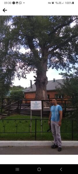  ,   Artem, 31 ,   ,   