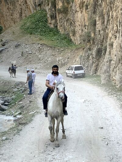  ,   Davud, 40 ,   ,   