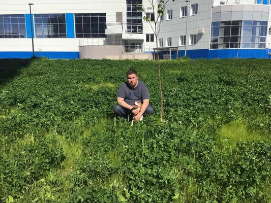  ,   Nikolay, 41 ,   ,   , c 