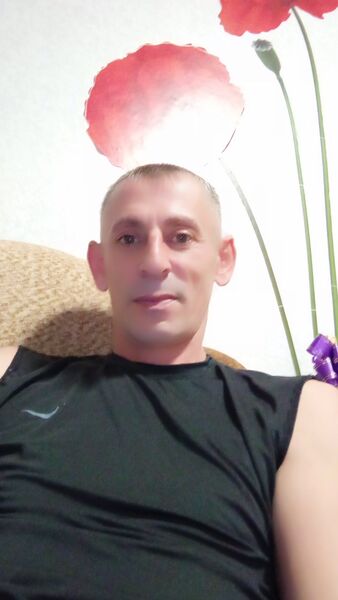  ,   Demis, 41 ,   ,   , c , 
