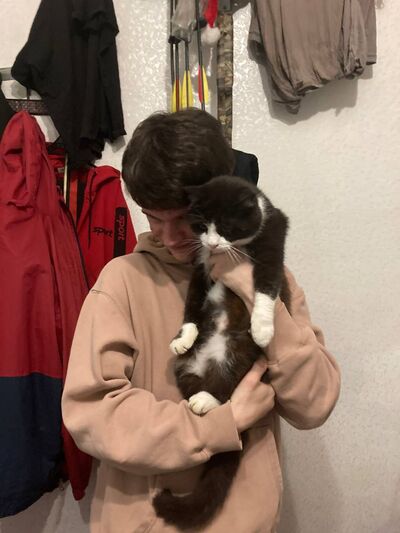 -,   , 22 ,   ,   