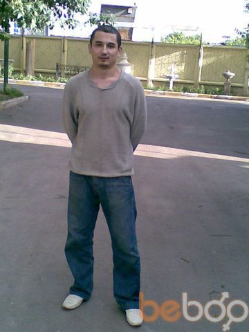  ,   Koko, 41 ,     , c 