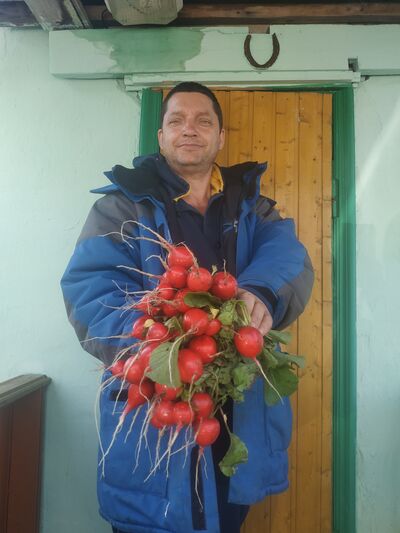  ,   , 99 ,   ,   , c , 