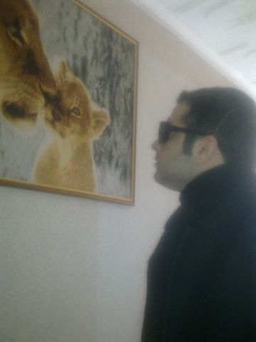  ,   , 37 ,   ,   , c 