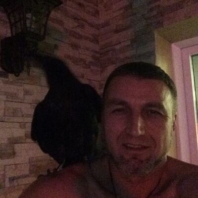  ,   , 55 ,   
