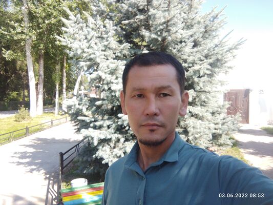 -,   , 44 ,   ,   