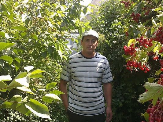  ,   NODIRBEK, 41 ,   ,   