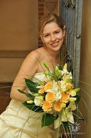  --,   , 41 ,  
