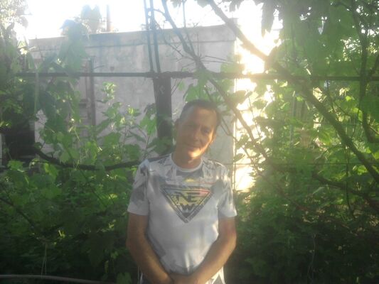  ,   , 53 ,  
