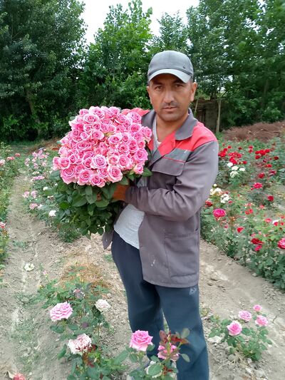  ,   M q, 39 ,   ,   