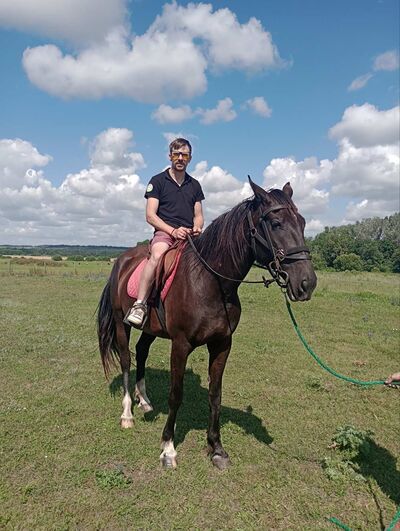  ,   , 36 ,     , c , 