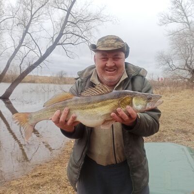  ,   Evgeny, 63 ,   ,   , c 