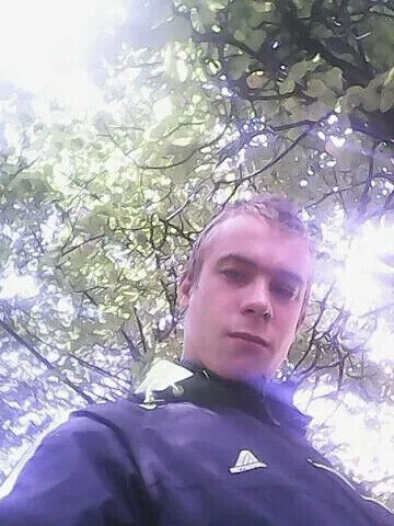   ,   , 29 ,   ,   